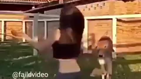 The Cow win the show | funny video | crazy clips