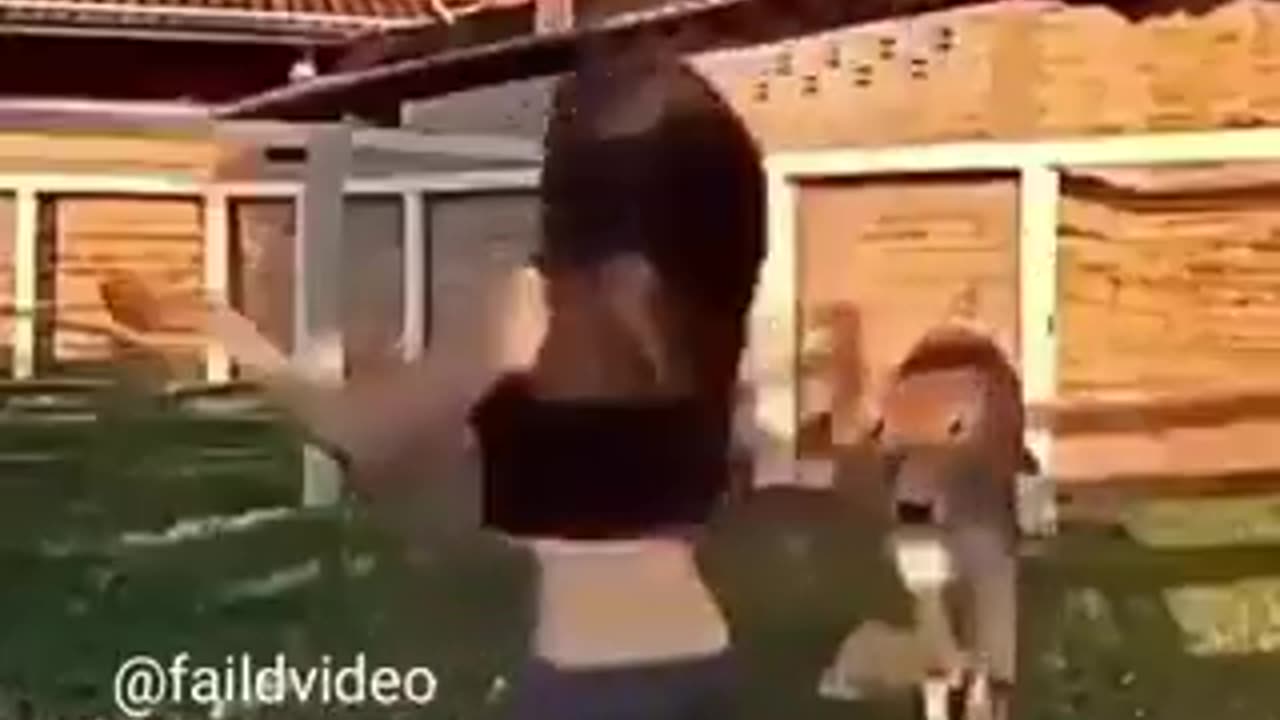 The Cow win the show | funny video | crazy clips