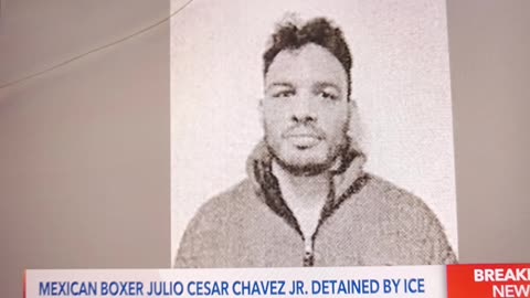 Boxer Julio Cesar Chavez Jr arrested by ice