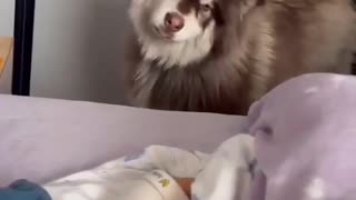 What's this?