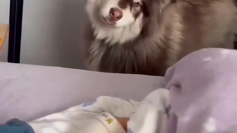 What's this?