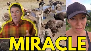 Incredible Story of Hope from Ostrich Farm