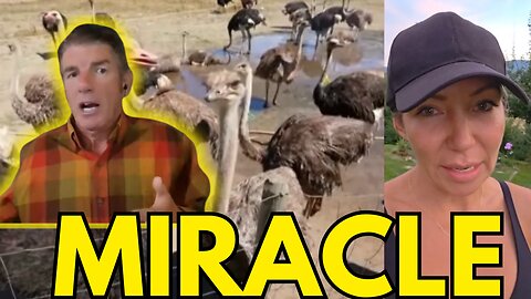 Incredible Story of Hope from Ostrich Farm