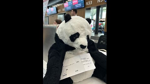 The history of a lost Panda