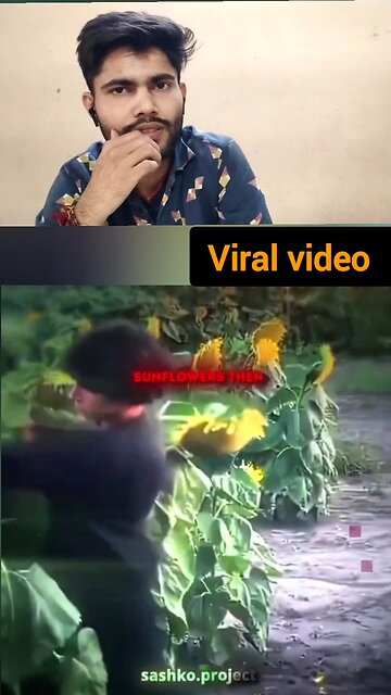 sunflower ke sath fight