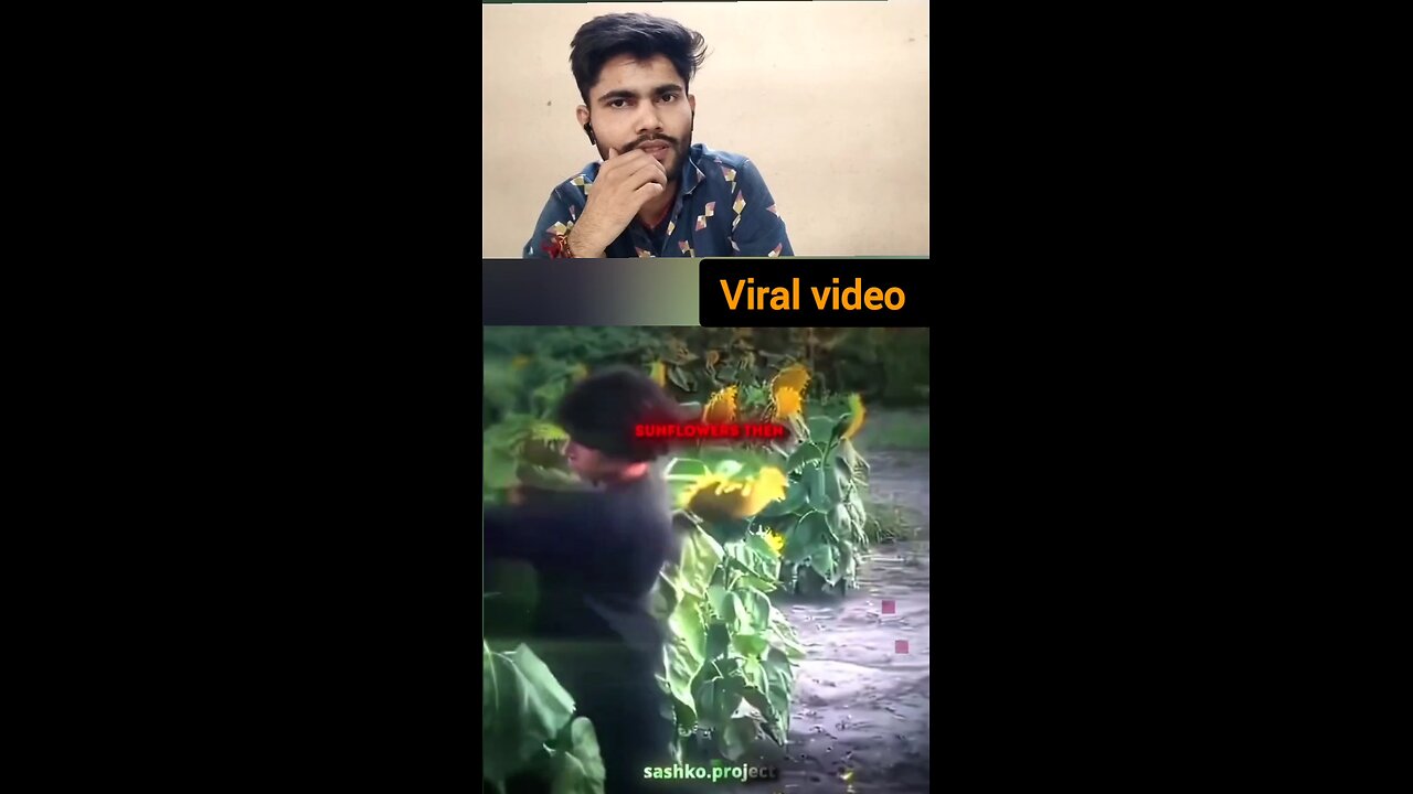 sunflower ke sath fight