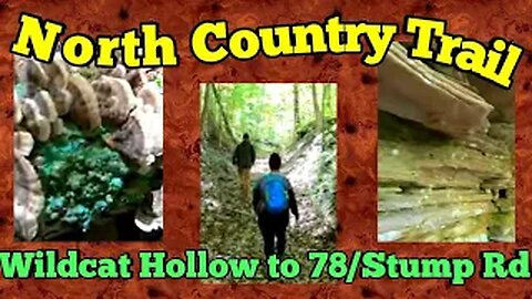 North country trail challenge 100 - Wildcat hollow to 78/stump rd