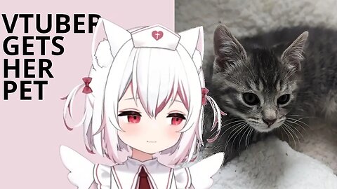 Moonson Gets a Kitty