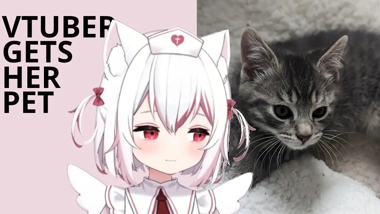 Moonson Gets a Kitty