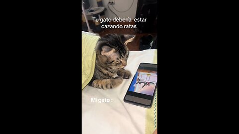 eso era en ti tiempo