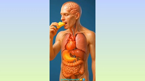 WHAT HAPPENS WHILE YOU EATING CHEESE 🍕 IN HUMAN BODY 💪