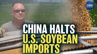 China Halts US Soybean Imports Despite Trade Deal