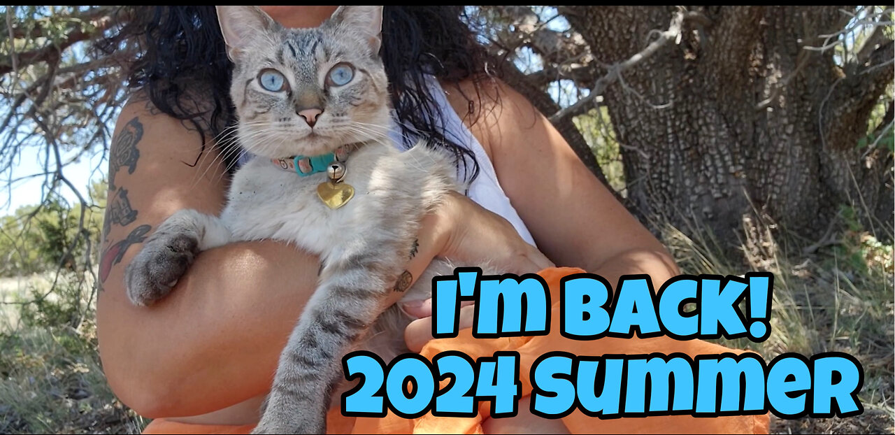 Summer of 2024 I decided to camp at Erics property