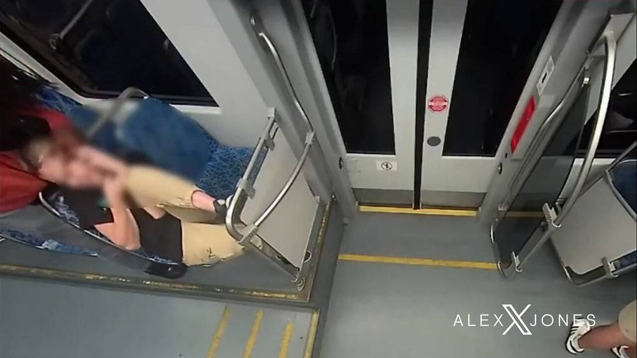 New Video Of The Brutal Stabbing Murder Of Iryna Zarutska By Decarlos Brown Released