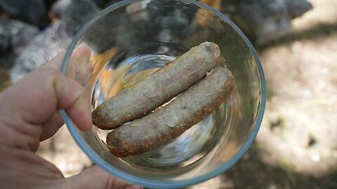 Do chickens like bratwurst or italian sausage? Neither? Both?