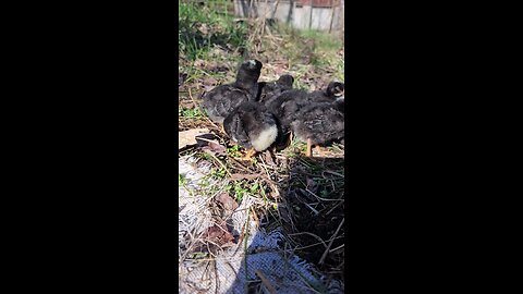 First Day Outside