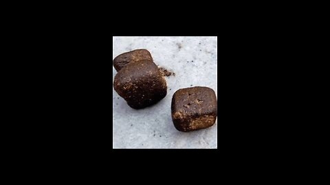DO YOU KNOW WHICH ANIMAL POOP IS CUBE SHAPE???😱😱😱😱