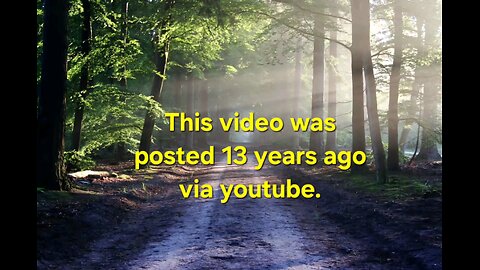 Love and Light 💖 🌞 🐝