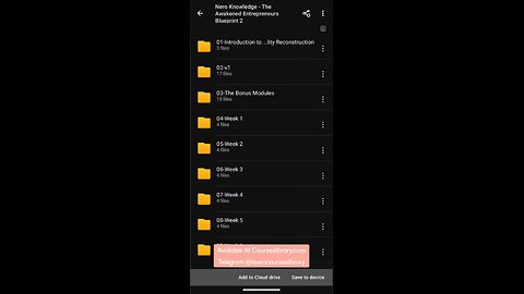 (courseslibrary.com)Nero Knowledge - The Awakened Entrepreneurs Blueprint 2.0