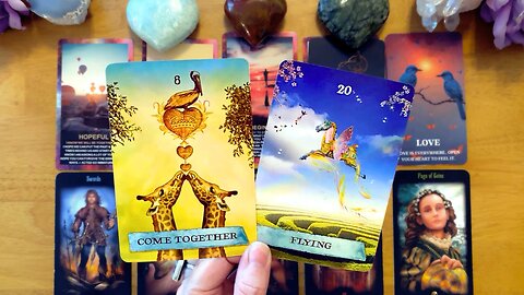 CAN WE START OVER? ❤️ I DON'T WANT TO WASTE ANY MORE TIME!! 🥰 I'M SORRY! (COLLECTIVE LOVE READING)