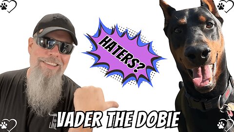 The Truth About My Doberman’s Ears, Tail, and the Judgments I Keep Getting