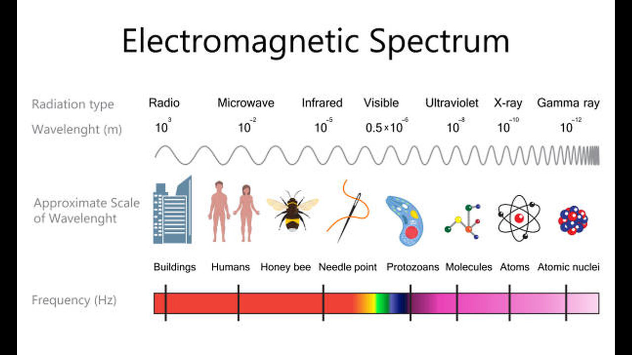 The Body is part of the Electromagnetic Spectrum!