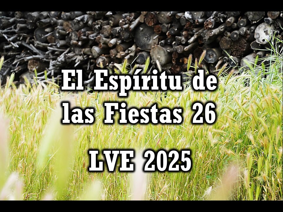 El Espíritu de las Fiestas 26