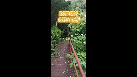 Roadside Reflection - Lust