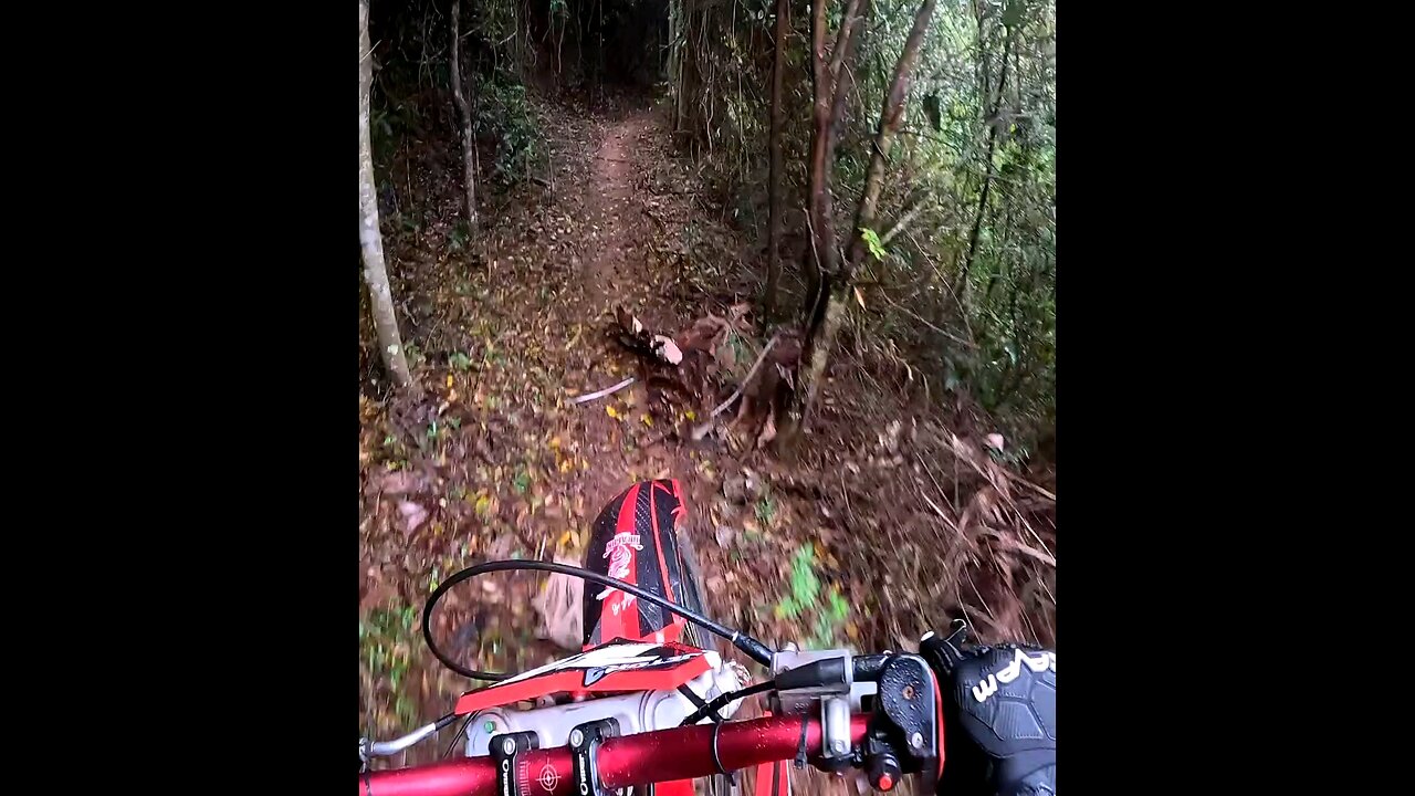 motorcycle trails in Brazil. Beautiful forests