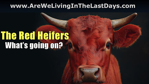 Closed Caption Episode 187: The Red Heifers. What’s going on?