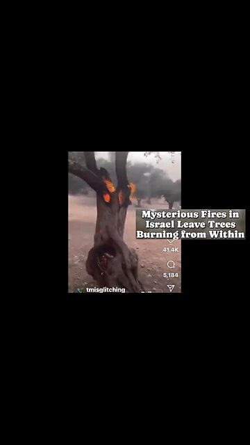 Tree Stumps Burning in Israel!! 🇮🇱 Have They Been Hit by DEWS? Or Something Else? 🤔