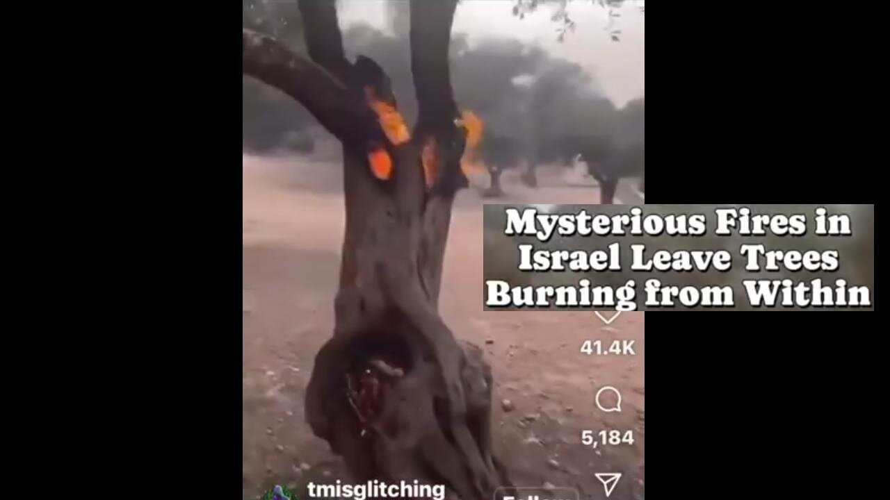 Tree Stumps Burning in Israel!! 🇮🇱 Have They Been Hit by DEWS? Or Something Else? 🤔