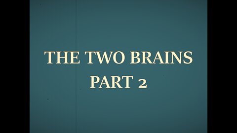 THE TWO BRAINS Pt2
