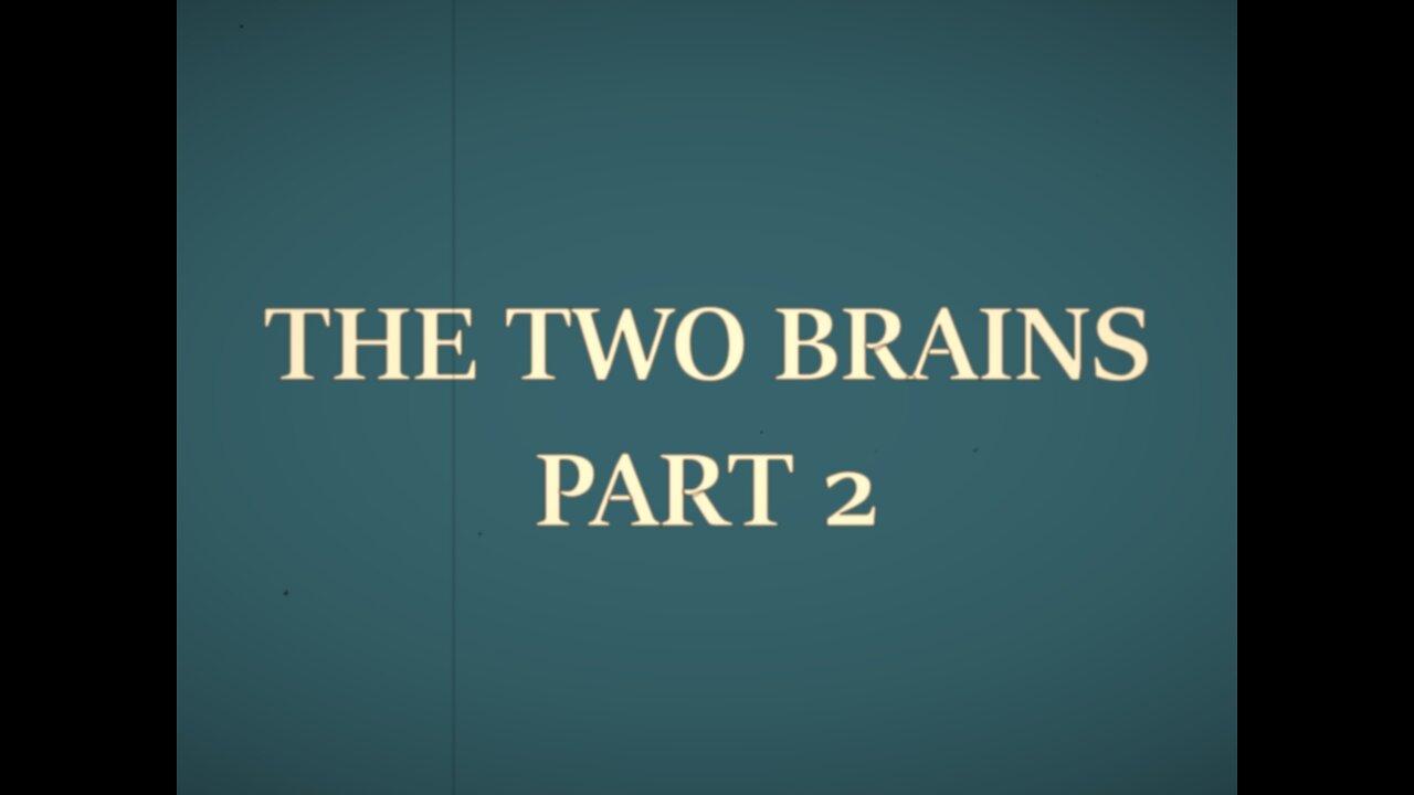 THE TWO BRAINS Pt2