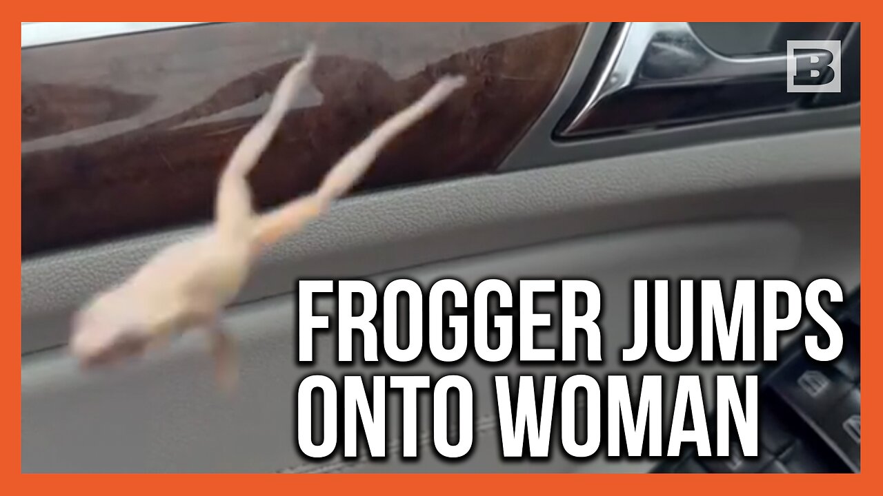 Frogger 2?! Woman Terrified by Tiny Frog Hopping on Her as She Drives