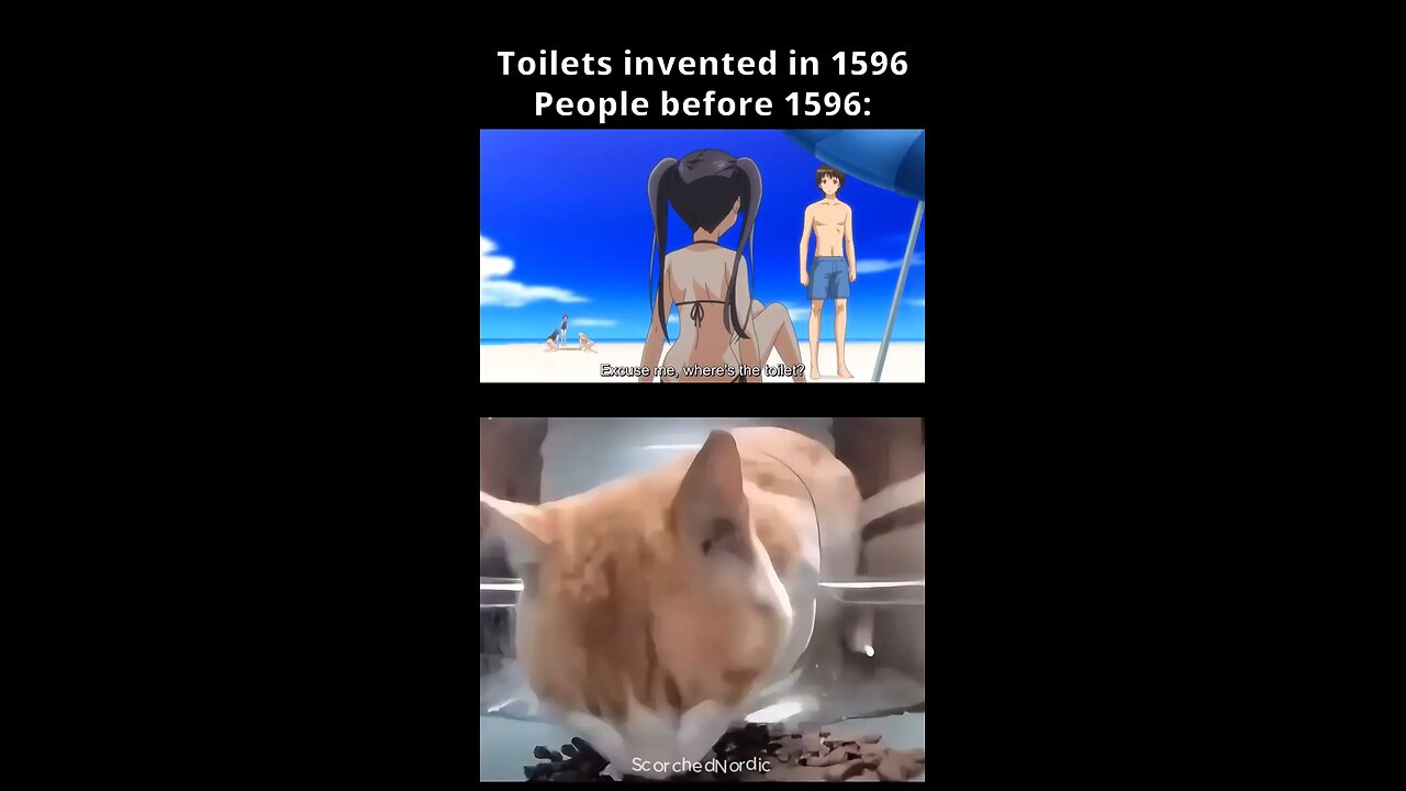 Hold up now.. #funny #meme #clip
