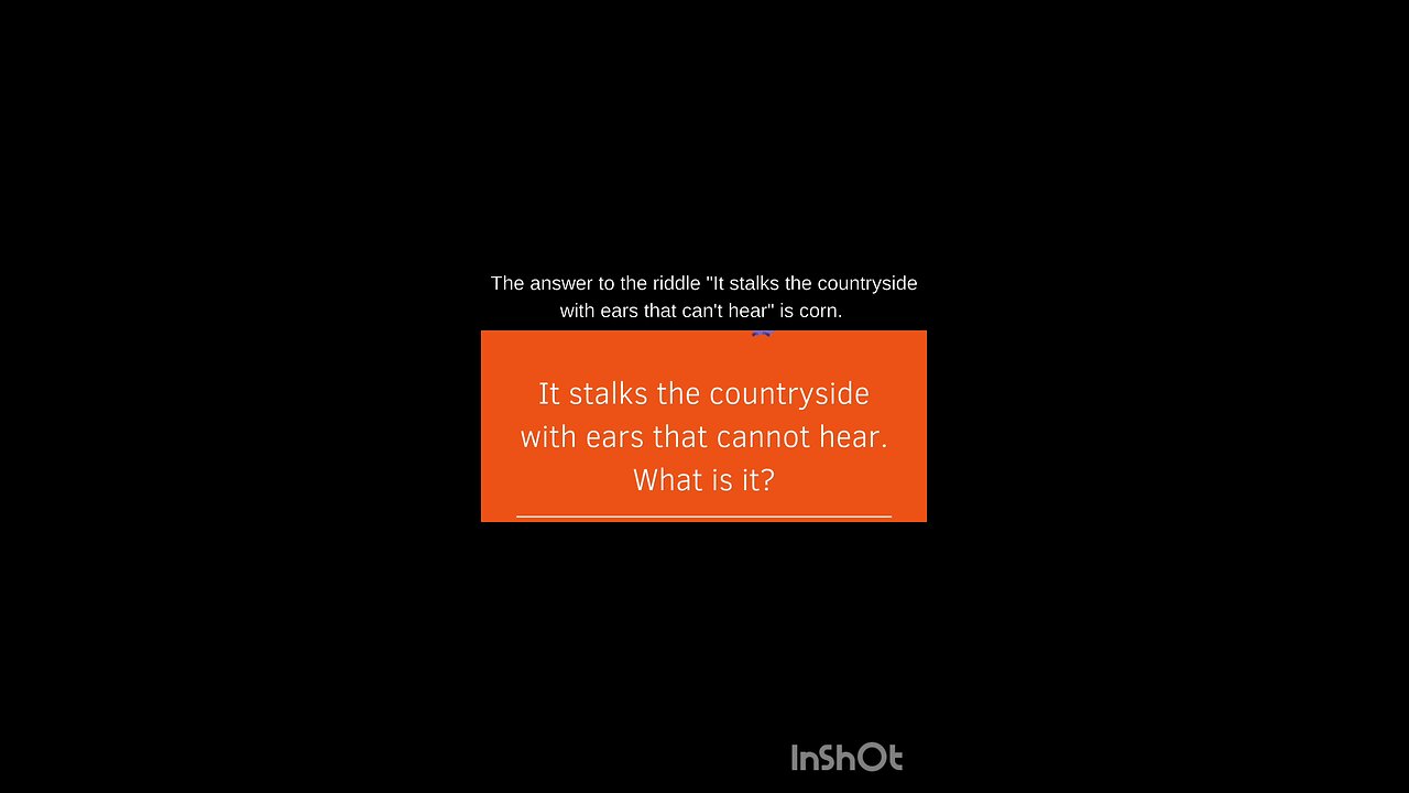 English riddles with answers.