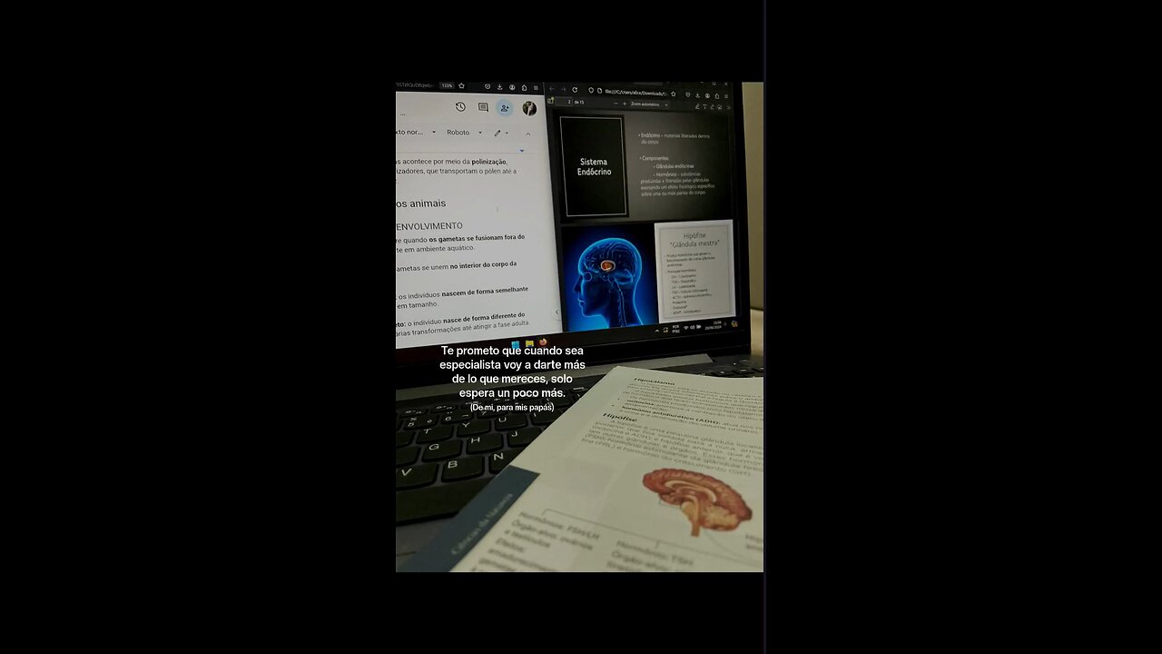 207/365 días | Promesa.