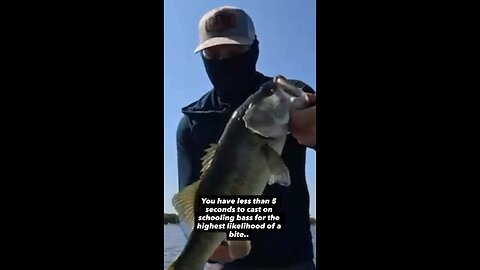 Sometimes you only have seconds to cast on schooling fish