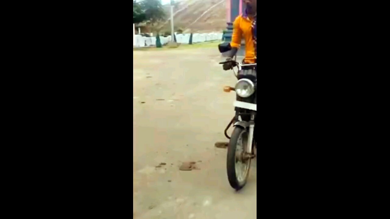 funny viral video