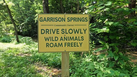 ROCKIN IT @ GARRISON SPRINGS COMMUNITY FOREST music video