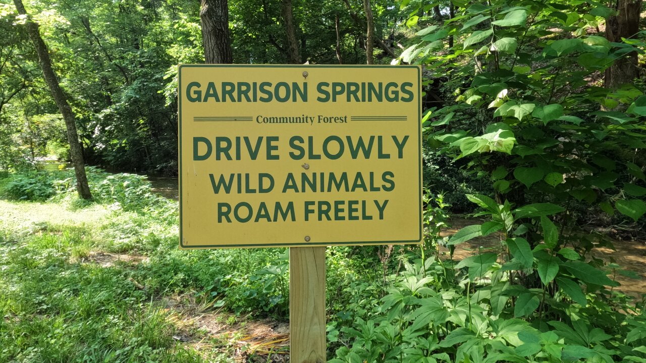 ROCKIN IT @ GARRISON SPRINGS COMMUNITY FOREST music video