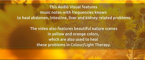 Sound & Color Therapy for Liver, Kidney & Intestine Detox | Healing Camp #Day 9