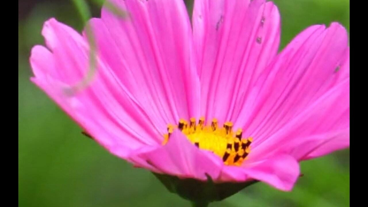 WHY WE DOUBT OUR SALVATION - DAILY DEVOTIONAL ❤️