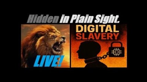 Welcome! The Corporate State Of NEW AMERICA. YOU ARE NOW A SLAVE IN DIGITAL CHAINS. Mannarino