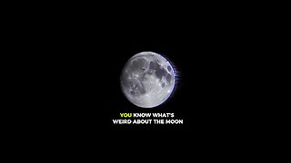 You know what's weird about the moon?