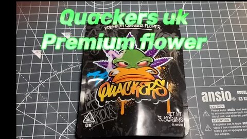 Slushie by Quackers
