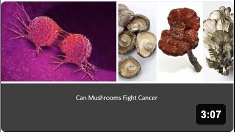 Mushrooms & Cancer
