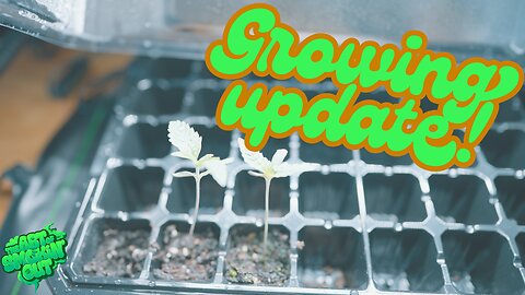 Grow Journal - Tent Setup