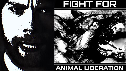 They Better Be Watching Their Backs